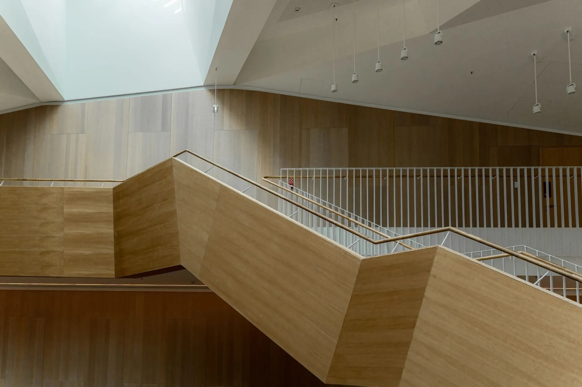 Timber-clad stair folding up through a double-height hall under a large white rooflight.